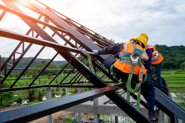 Best Gutter Installation and Roofing  in Wedgefield, FL